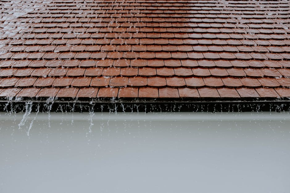 Daklekkage Reparatie — Binnen 2 Uur voorbeeld 2