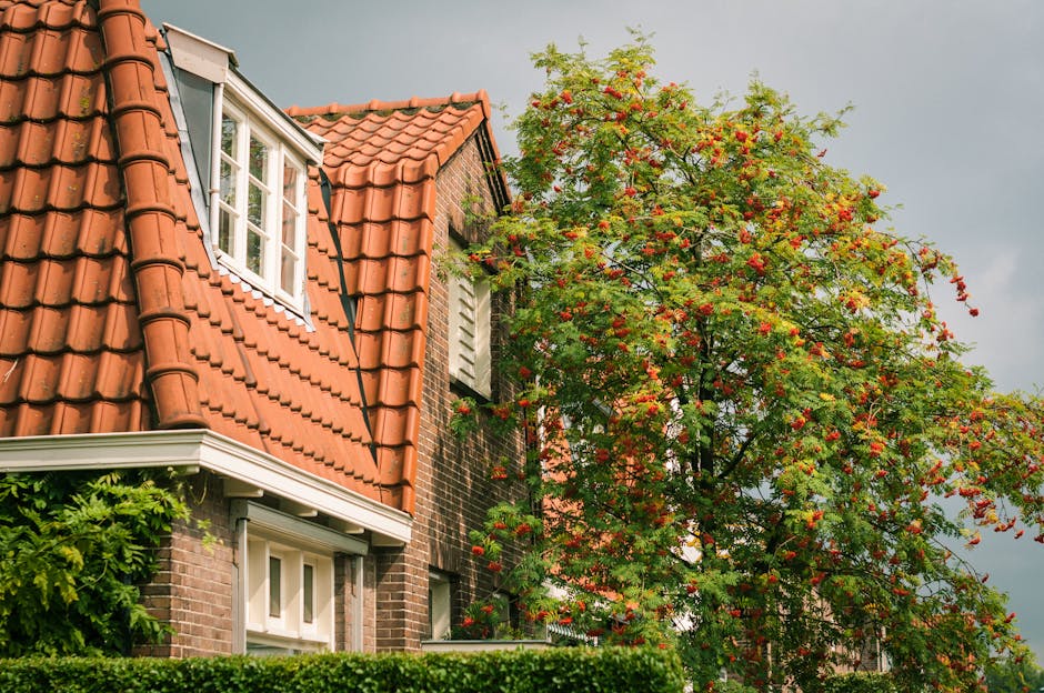 Dakrenovatie — Volledig Dak Vervangen voorbeeld 1